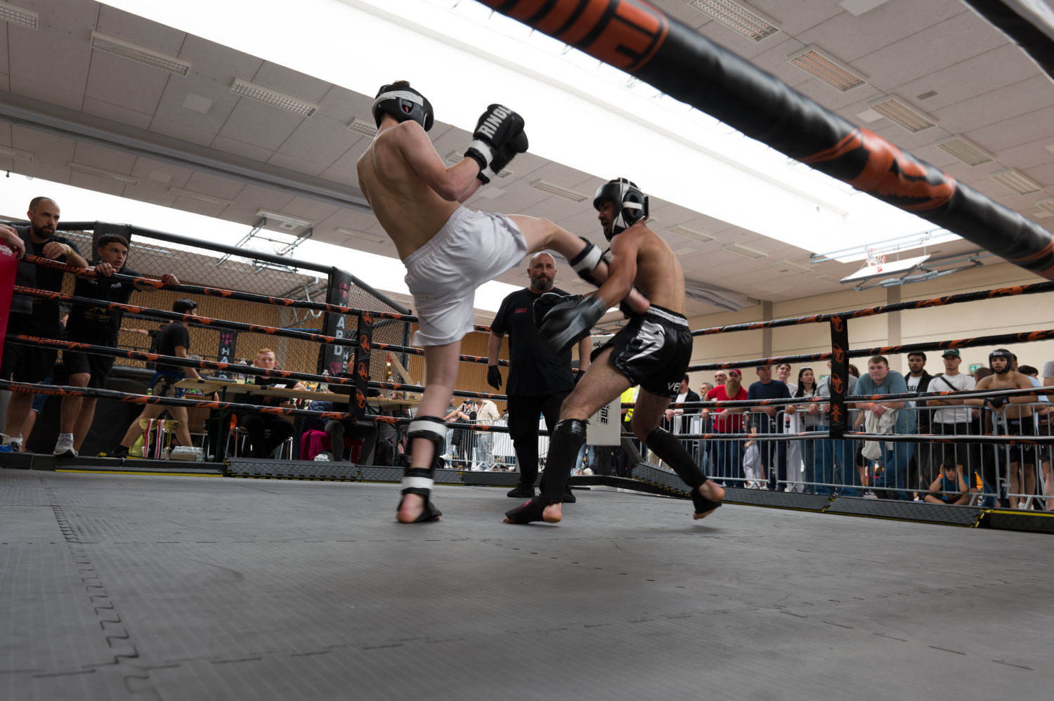 Newcomer Tournament Foto